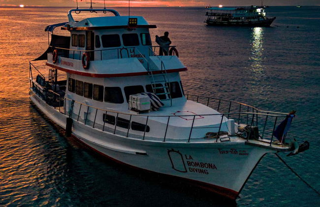 Koh Tao Scuba Diving Experience - Foto 6