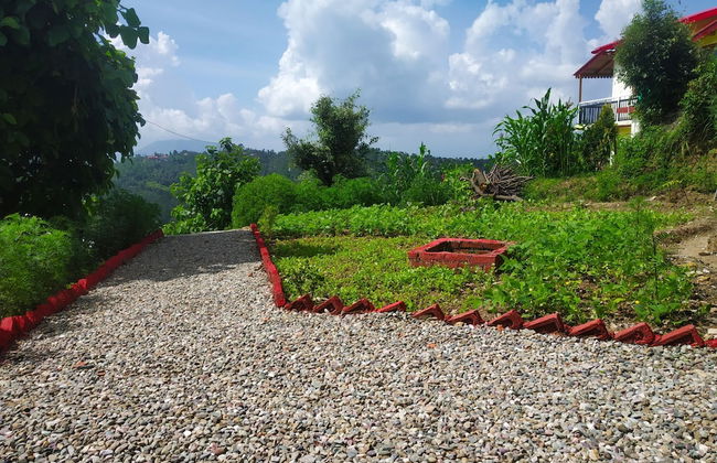 Pine pioneer the eco resort - Foto 17