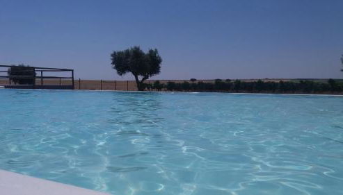 Terras - Agroturismo & Vinhos - Foto 5