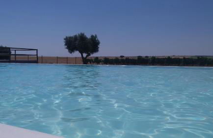 Terras - Agroturismo & Vinhos - Foto 5