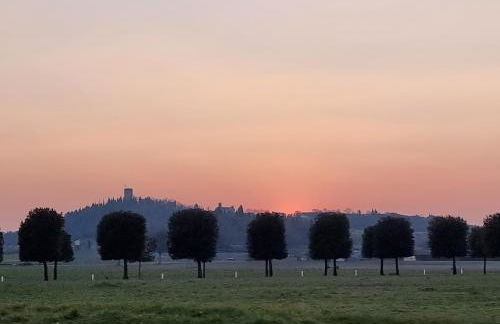 La Vite in Collina Apartment - Foto 15