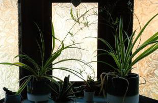 Fabulous family home in Newbury - Foto 49