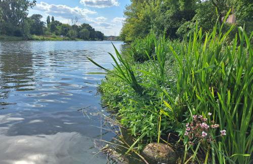 Ferienhaus Saaleblick - Foto 31