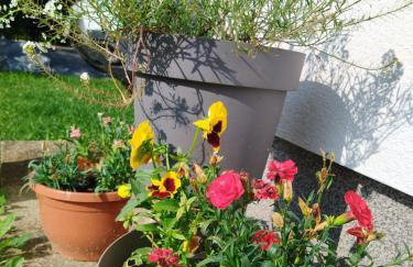 Three Little Birds Suite - Foto 31