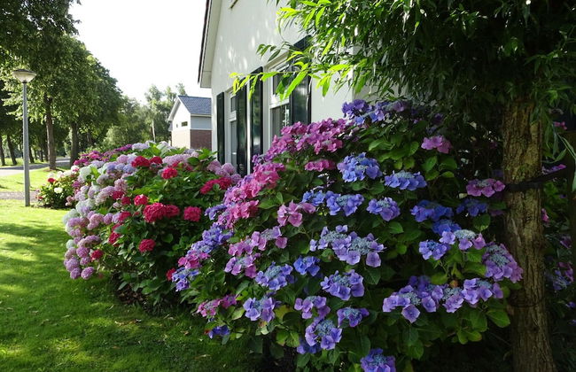 Holiday Home in Steendam by Schild Lake - Photo 22