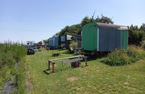 Freilandhof - Foto 57