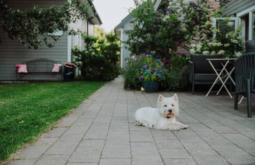 Niebieski Kamyk - Foto 35