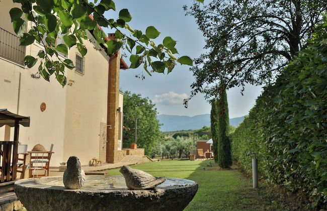 Olives and Vines all Season Villa - Photo 37