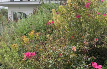 Villa con piscina vicino Roma - Foto 46