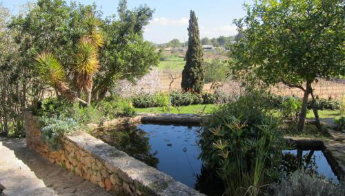 encantadora casa ibicenca - Photo 4, Garden