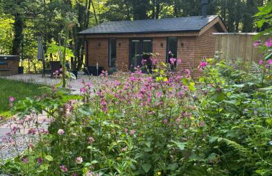 Roe Deer Lodge with Wood-Fired Hot Tub - Alum House Litlebeck, Whitby - Foto 24