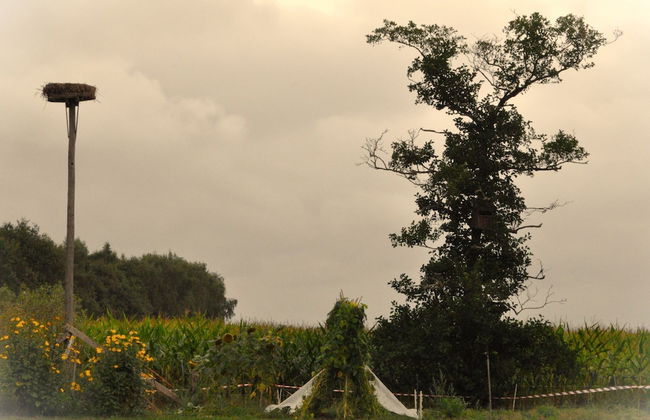 Peaceful Chalet Close to Norg - Foto 21