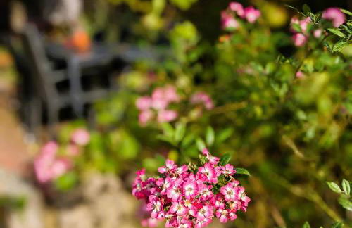 Ferienhaus Salvia - Foto 75