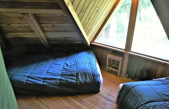 Out 'N' About Treehouse Treesort - Photo 25