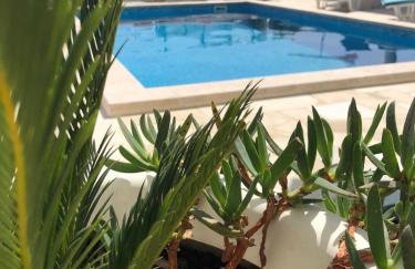 Panorama Sevid - Foto 49