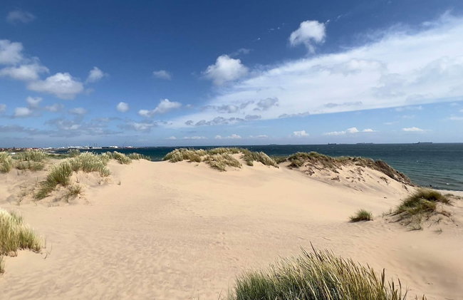 5 Star Holiday Home in Skagen - Foto 25