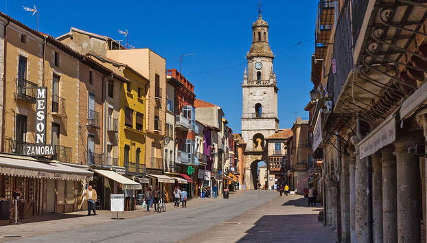 Visite guidée dans Toro + Domaine viticole traditionnel