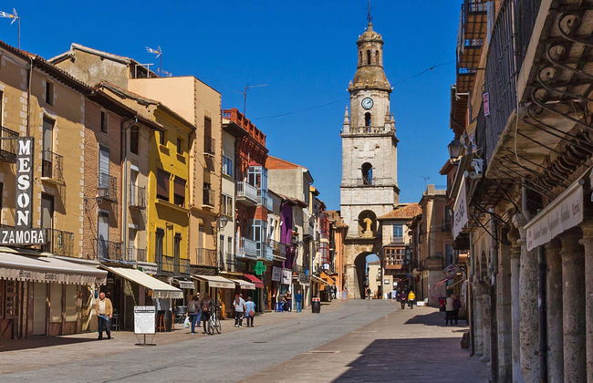 Visita guiada por Toro y una bodega tradicional - Foto 5