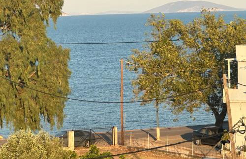 Argoliki Thalassa - Photo 27