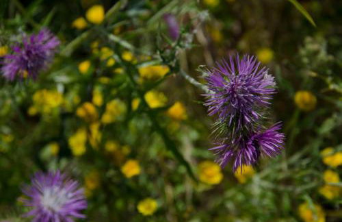 River View ate Terrus Winery - Foto 11