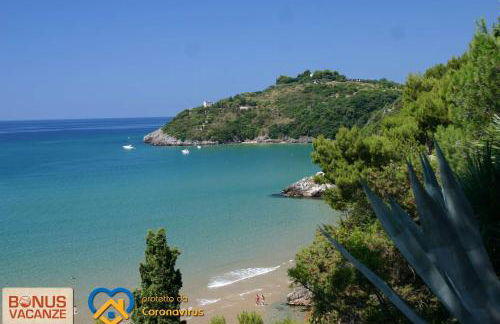 Livingapple - Foto 7