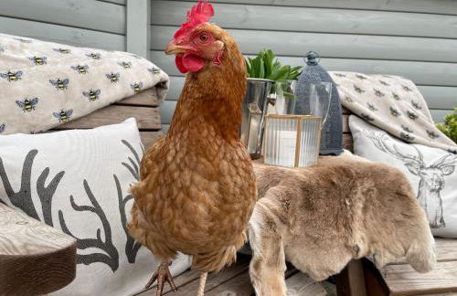 South Barlogan Farm - Photo 33