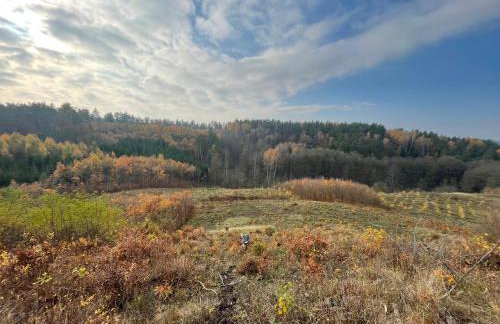 Stodoła Drwęck - Foto 18