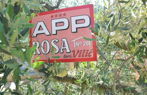 Apartments Rosa - Foto 30