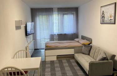 Ganze Apartment in Saarbrücken City - Foto 27