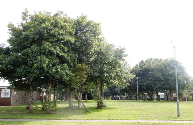 Dartmouth Chalet Holidays - Foto 51