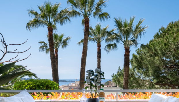 Alexandra Palace - Foto 4, View