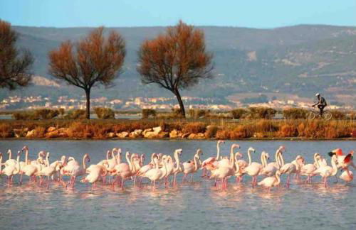 Le Nautica Plage T2 climatisé en bord de mer - Foto 28
