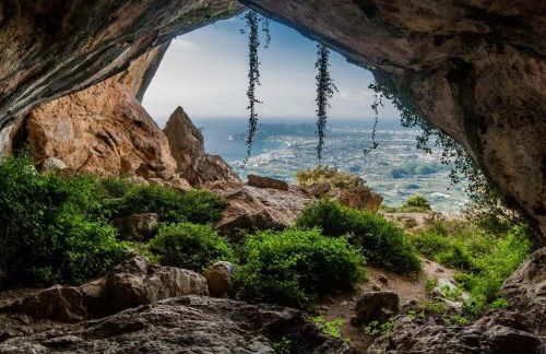 Finca Bernia Experience - Foto 56