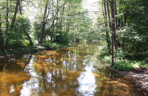 Mazury domek całoroczny Pelnik jezioro las - Photo 13