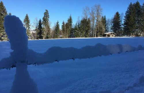 Haus Jorg Sosna Modern Retreat - Foto 31