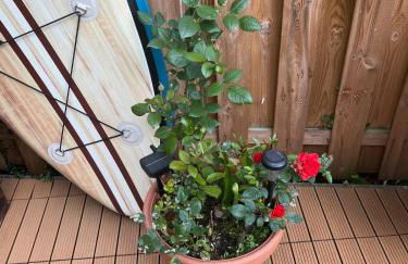 Idyllische Wohnung mit Terrasse und Seezugang - Foto 4