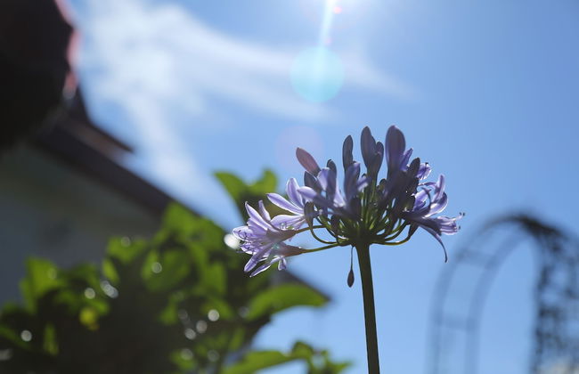 The Rosedale Grand Nuwara Eliya - Foto 44