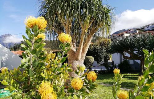 Granny's farm - Foto 34