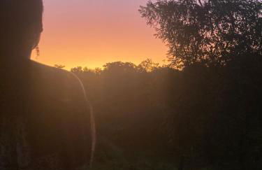 Sítio Luz das Estrelas - Foto 64