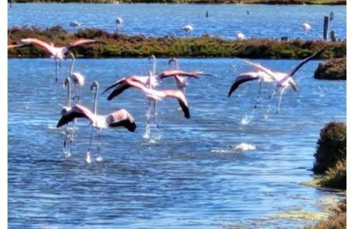 Vivir es Increíble - Foto 74