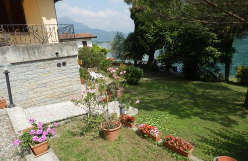 Le palme Antonella - Foto 16