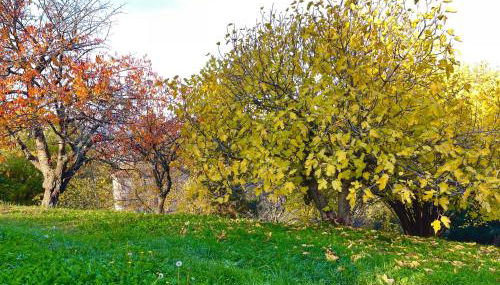 Mazzetti Country House-Vita in campagna con giardino - Foto 5