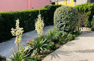 Paloma nel bosco - Foto 17