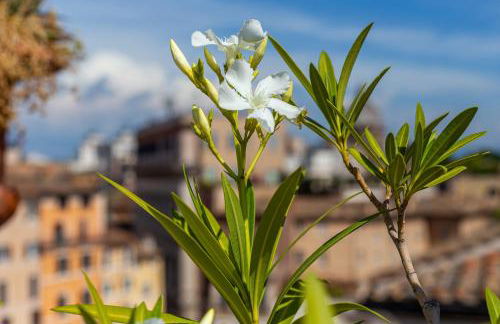 iFlat Campo de' Fiori Panoramic Penthouse - Foto 16
