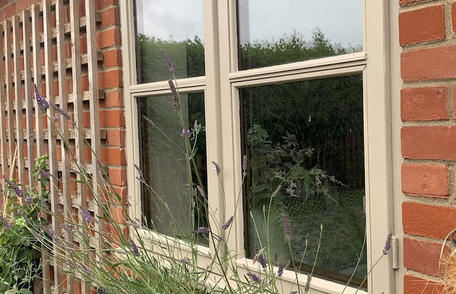 Come & Stay on a Real Norfolk Vineyard - Foto 26