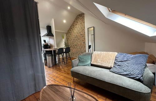 IMMEUBLE ST-PIERRE - GARE 10min - HORTILLONNAGES 5min - WIFI - TV HD - Foto 24