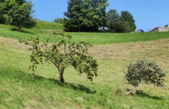 Vivienda Vacacional Ángel Inguanzo - Foto 52