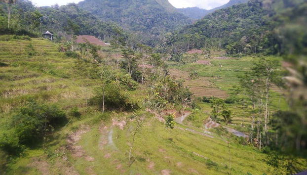 Borobudur Private Excursion + Hiking to Selogriyo Temple - Foto 5