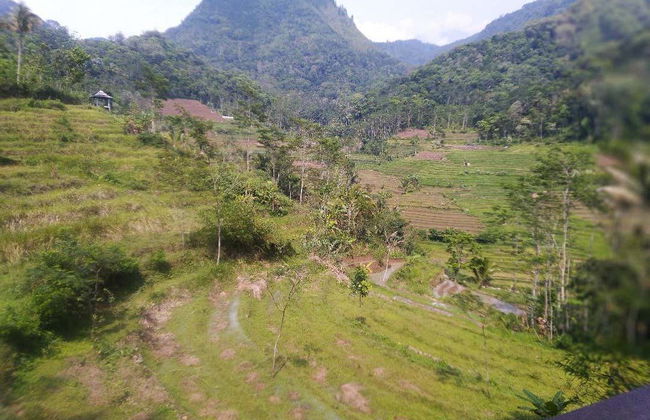 Borobudur Private Excursion + Hiking to Selogriyo Temple - Photo 5