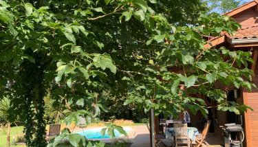 Les cabanes de l'océan, Villa confort proche plage sauvage - Foto 5